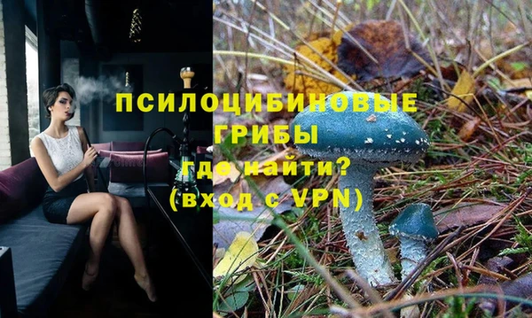 ГАЛЛЮЦИНОГЕННЫЕ ГРИБЫ Алексеевка