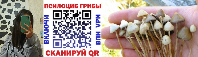 Галлюциногенные грибы MAGIC MUSHROOMS  Темрюк 